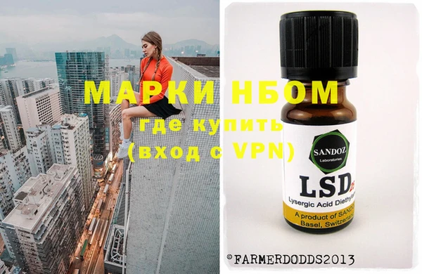 ПСИЛОЦИБИНОВЫЕ ГРИБЫ Арсеньев